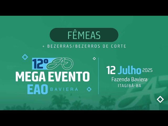 LOTE 20