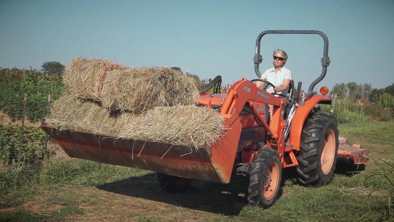 Local Flowers, Local Farmers