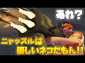 【フォートナイト】ニャッスルの生態とは…!?【アニメ】【Fortnite】