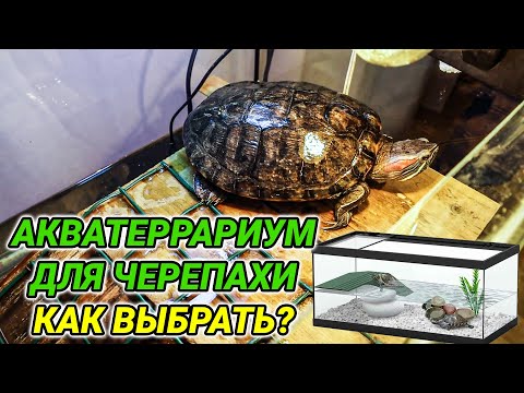 Акватеррариум для красноухой черепахи – как выбрать и как обустроить?