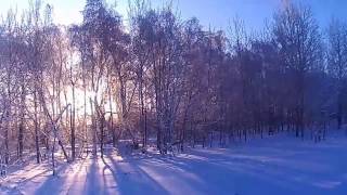 Охота на зайца. С выжлецом русской гончей Охота на зайца. С выжлецом русской гончей