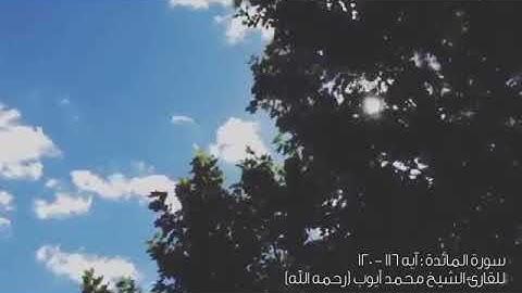 تلاوة هادئة من سورة المائدة [آية 115-160] بصوت القارئ الشيخ محمد أيوب [رحمه الله]