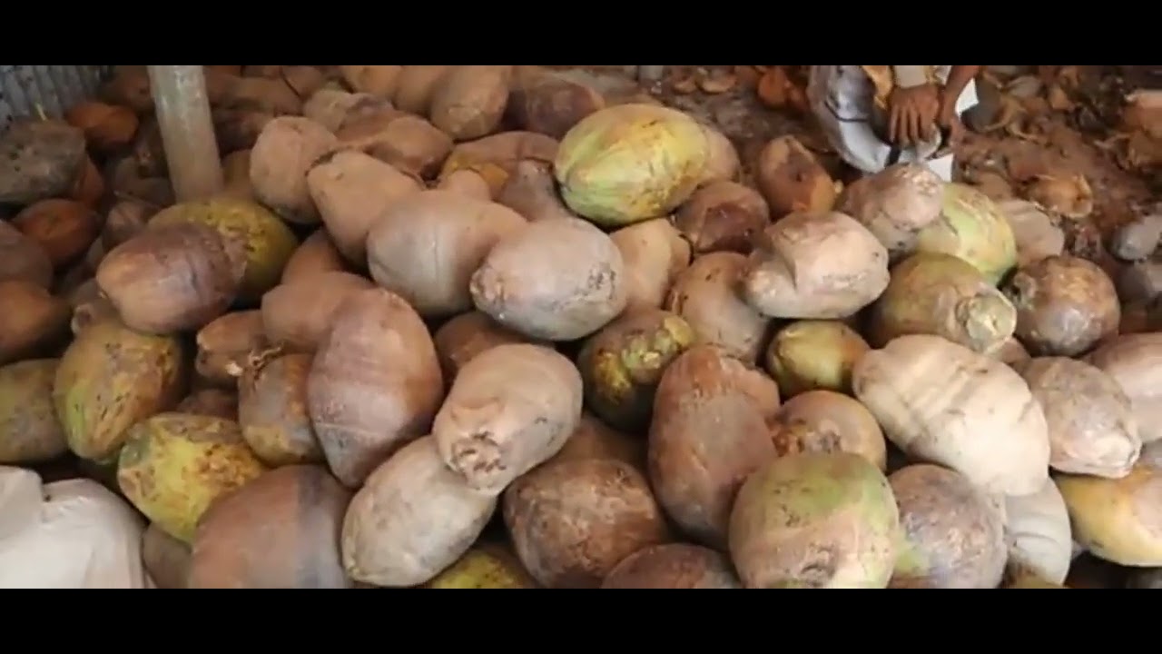 ☎️01811254127 📠 বড় সাইজের নারকেল পাচ্ছেন মাত্র 90 টাকা পিস সারা বাংলাদেশে সততার সাথে দিয়ে থাকে🥥 🚚