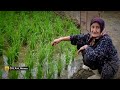 مستند یکساعت با ننه جان گیلانی مستند یکساعت با ننه جان گیلانی