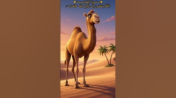 سورة الغاشية الآيات من 17 إلى 21