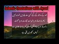 Best islamic quotes best quotes islamic quotations with ayzel motivationalspeech aliahmadawan