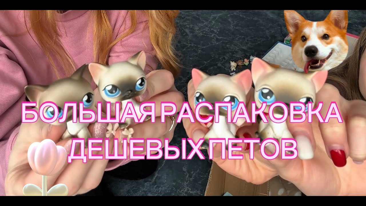 LPS: РАСПАКОВКА С ДЕЛЕЖКИ | посиделки на пледике с петами