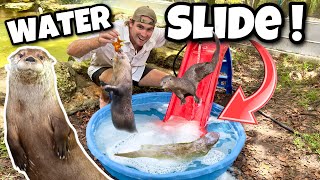 Making A River Otter Water Slide ! Otter Water Park !!