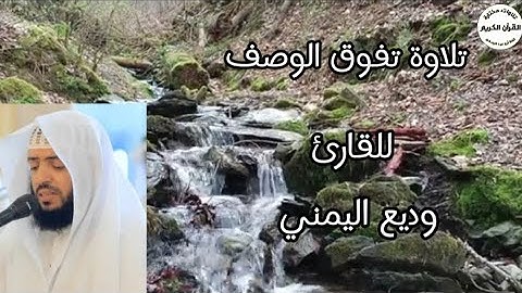 سورة نوح تلاوة مريحة للقلب.... للقارئ وديع اليمني