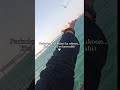 Peace🕊️ #peace #travel #birds #gujrat #sukoon #happiness #traveling #youtube #ytshorts #shorts #yt