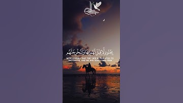 تلاوة خاشعة للشيخ ياسر الدوسري❤️ #quran #اكسبلور #تلاوة_خاشعة #ياسر_الدوسري #يارب #القرآن_الكريم