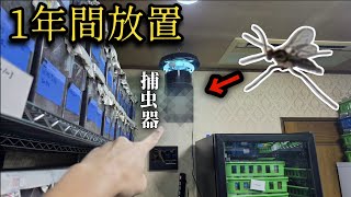 捕虫器に1年間で集まったコバエの数がやばすぎる