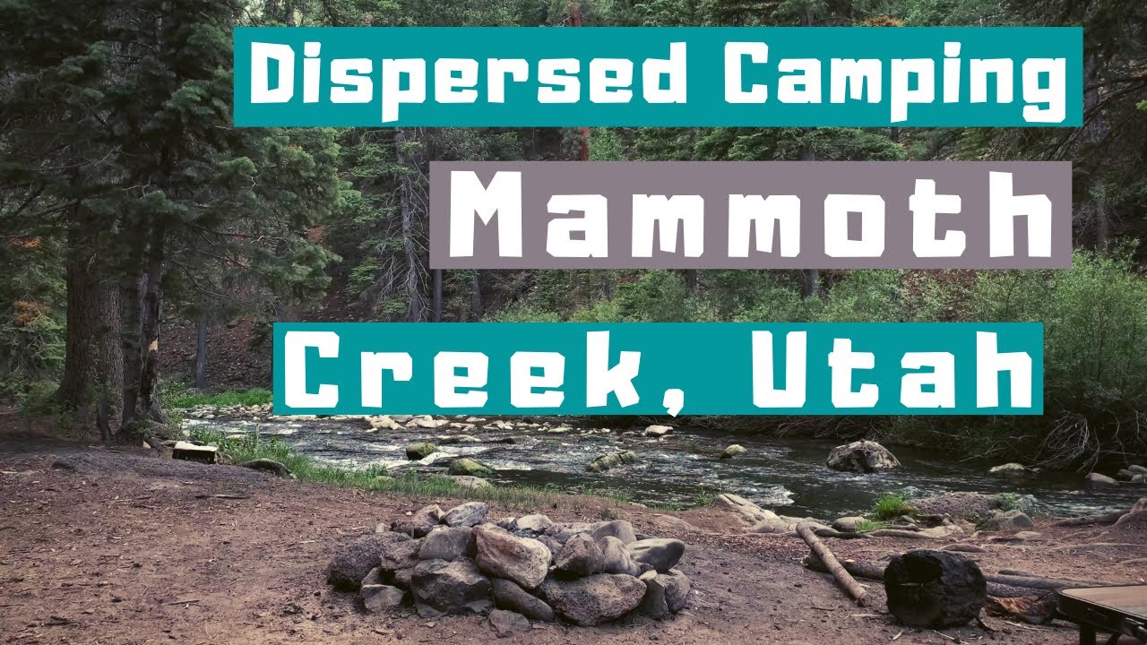 Camping Mammoth Creek Designated Dispersed Campsite YouTube
