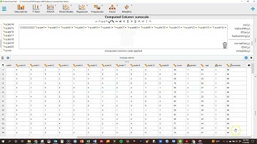 JASP New Variables
