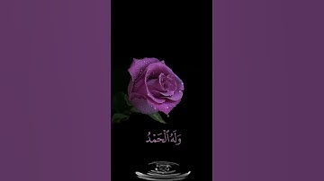 صباح الخير💜اجمل حالات واتساب مقاطع قصيره💜قران كريم فسبحان الله حين تمسون💜 عبد الرحمن مسعد بدون حقوق