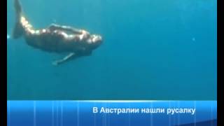 В Австралии нашли русалку. ТБН - Россия В Австралии нашли русалку. ТБН - Россия