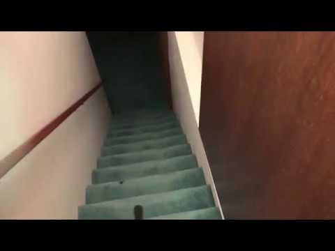 live free armory how to deal with a HUGE spider in your house