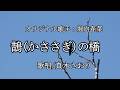 鵲(かささぎ)の橋(堀内春菜さん)唄/真木さおり
