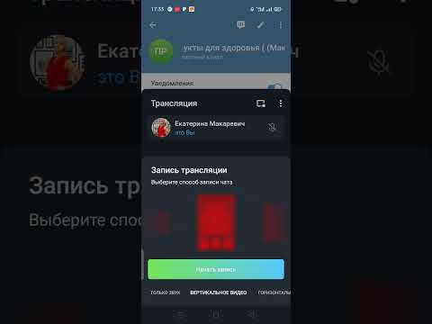 Как провести и сделать запись трансляции (видеочата) в телеграм?