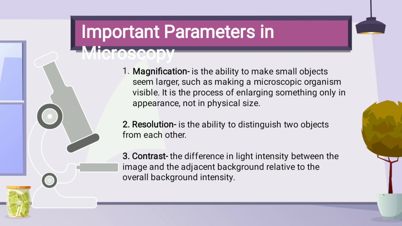 18.1: The Light Microscope