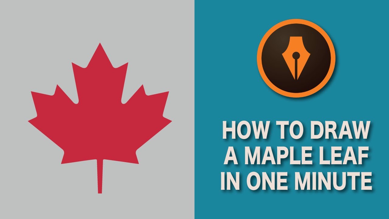 Draw a Maple Leaf in Illustrator| #illustratortutorials - YouTube