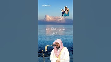 الآية(35) من سورة النور، بصوت القارئ الشيخ ماهر المعيقلي.