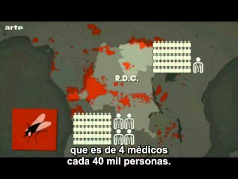enfermedad de la mosca del sueño