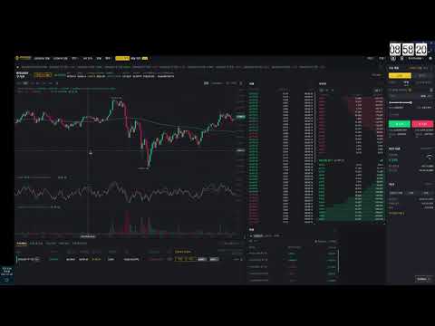 [비트코인/Binance Futures] 고배율과 불타기 물타기