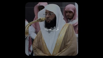 تلاوة بديعة بالنبرة الأيوبية! - للشيخ بدر التركي 🤍🎧..