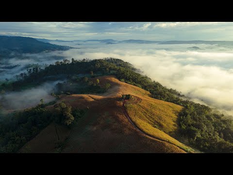 Mavic Air 2 : D-Cinelike  Color Grading