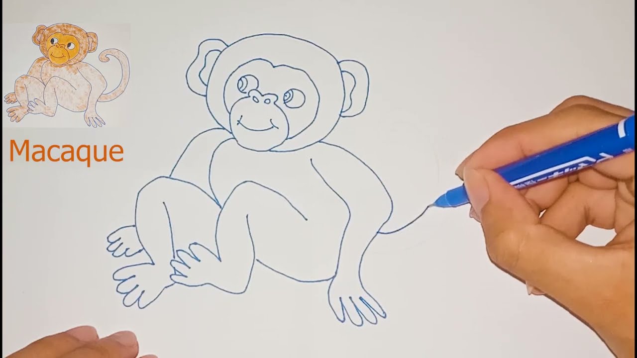 Macaque Drawing | Monkey drawing Tutorial step by step 🐒🐒🙈
