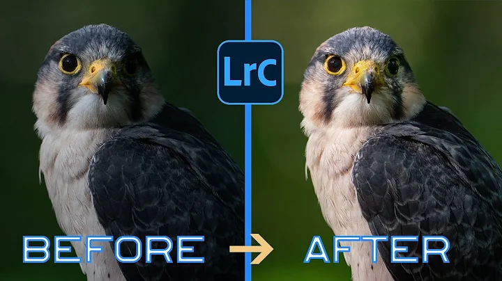 Revolutionize your wildlife photography with these 5 Lightroom hacks