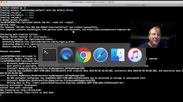 02 Setting up the base structure: ASP.NET Core MVC, in a Docker container