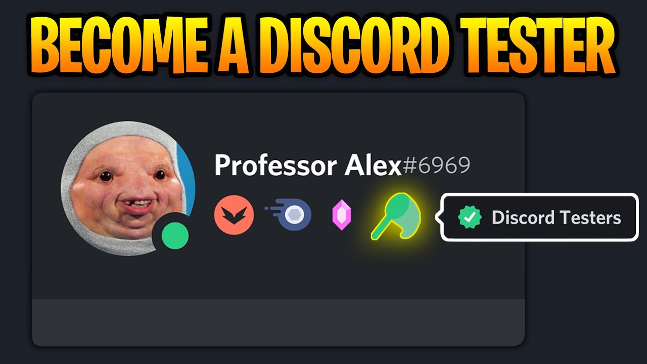 A new badge for Discord Bug Hunter – Discord