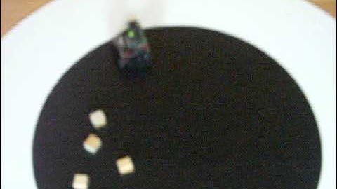 mini sumo sumovore test