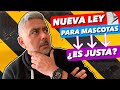 Mi opinión sobre la NUEVA LEY de BIENESTAR ANIMAL, ¿un LOGRO o HIPOCRESÍA política? ⚠️