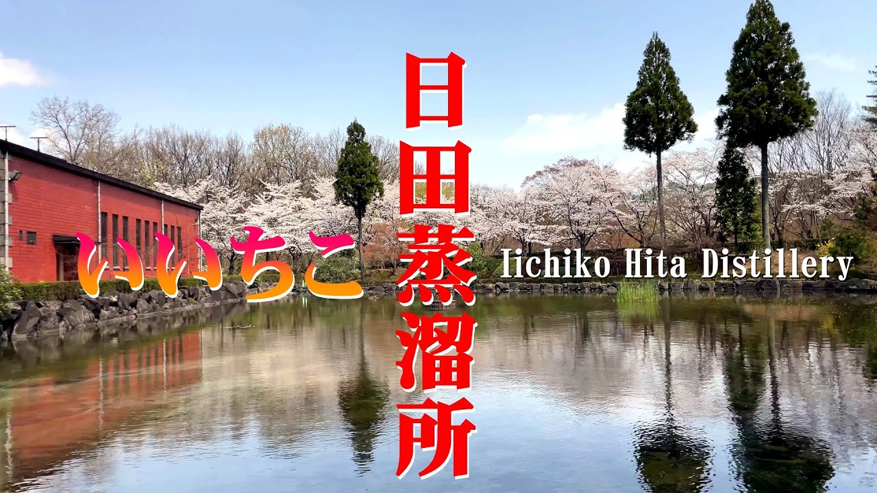 春の「いいちこ日田蒸溜所」