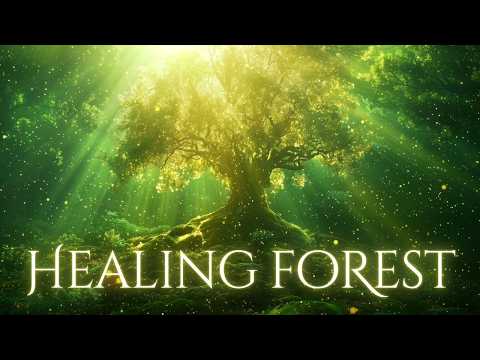 NO MID ROLL ADS Healing Forest 432Hz Healing Music For Deep Sleep Meditation Focus Or Relaxation