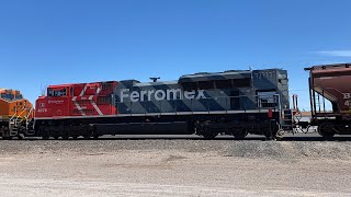 BNSF Empty Grain Train 8-24-2024
