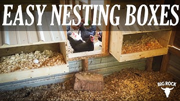 DIY Chicken Nest Boxes with Slanted Roof | Easy Build for Backyard Hens