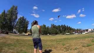 Drakflygning I Västerås, Framnäs 2014