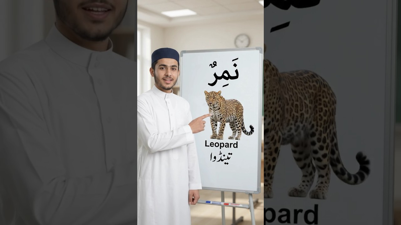 🐾 Wild Animal Vocabulary | English to Arabic #learnarabic #easyenglishtoarabic #learnenglish