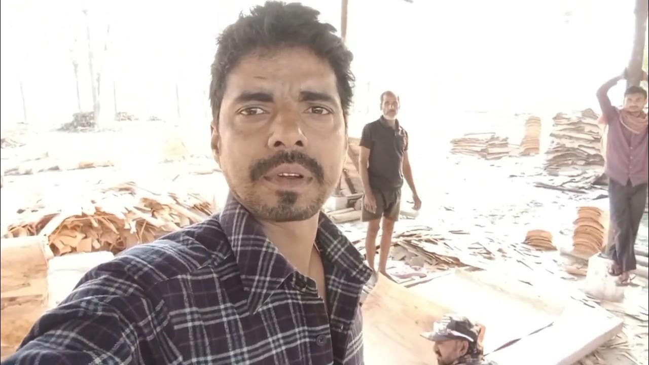 Plywood Kaise Banta Hai YouTube