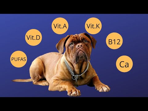 Video: Tang Mineral Fødevarer til Hunde