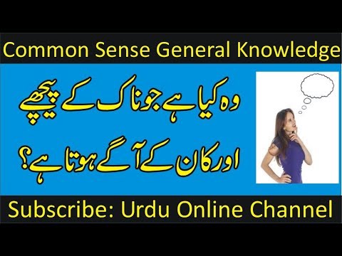 common-sense-questions-in-urdu-|-general-knowledge-quiz-|-brain-teasers-|-iq-test-|-fun-quizzes