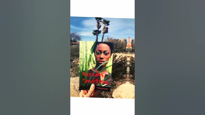 Top 5 Notable Books from Zimbabwe #shorts