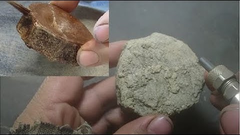 Vertebra Of Ichthyosaurs  Incredible Bone sandblasting with iron powder
