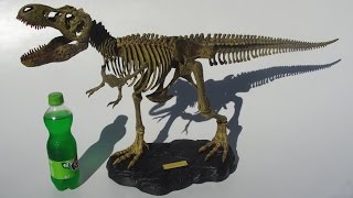 Building: Mighty T-Rex Model Kit, by EduScience WACKY LAB screenshot 2