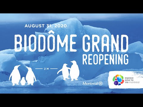 Video: Montreal Biodome ist eine Top-Stadtattraktion für Familien