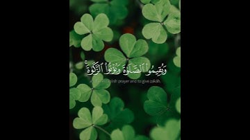 قران كريم ايات من الذكر الحكيم سورة البينة بصوت الشيخ ماهر المعيقلي